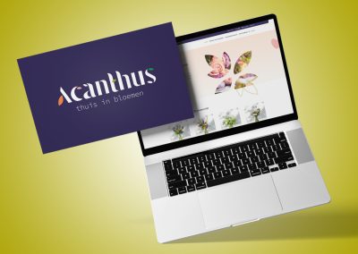 Acanthus branding logo website